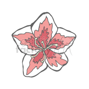 Stylized Azalea Flower - Botanical