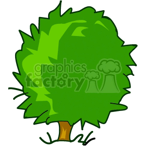 A green, bushy tree clipart image with a simple, cartoon style.