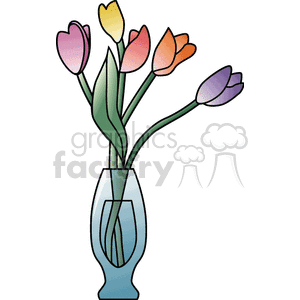 Colorful Tulips in a Vase