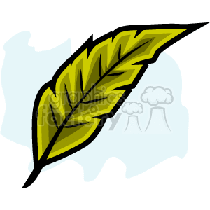 The image shows a stylized illustration of a green and yellow feather. 