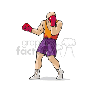 boxer11