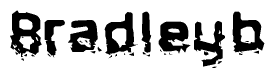 The image contains the word Bradleyb in a stylized font with a static looking effect at the bottom of the words