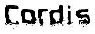 This nametag says Cordis, and has a static looking effect at the bottom of the words. The words are in a stylized font.