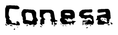 The image contains the word Conesa in a stylized font with a static looking effect at the bottom of the words