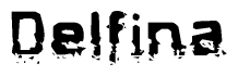 This nametag says Delfina, and has a static looking effect at the bottom of the words. The words are in a stylized font.