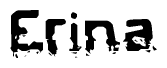 The image contains the word Erina in a stylized font with a static looking effect at the bottom of the words