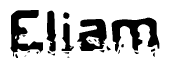   This nametag says Eliam, and has a static looking effect at the bottom of the words. The words are in a stylized font. 