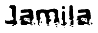 The image contains the word Jamila in a stylized font with a static looking effect at the bottom of the words