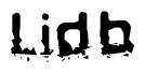 This nametag says Lidb, and has a static looking effect at the bottom of the words. The words are in a stylized font.