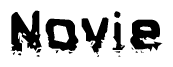 The image contains the word Novie in a stylized font with a static looking effect at the bottom of the words