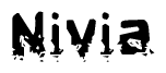 The image contains the word Nivia in a stylized font with a static looking effect at the bottom of the words