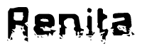The image contains the word Renita in a stylized font with a static looking effect at the bottom of the words