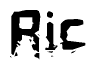 The image contains the word Ric in a stylized font with a static looking effect at the bottom of the words