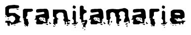 The image contains the word Sranitamarie in a stylized font with a static looking effect at the bottom of the words