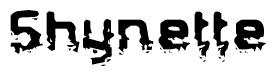   This nametag says Shynette, and has a static looking effect at the bottom of the words. The words are in a stylized font. 