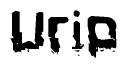 The image contains the word Urip in a stylized font with a static looking effect at the bottom of the words