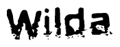 The image contains the word Wilda in a stylized font with a static looking effect at the bottom of the words