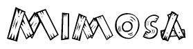 The image contains the name Mimosa written in a decorative, stylized font with a hand-drawn appearance. The lines are made up of what appears to be planks of wood, which are nailed together