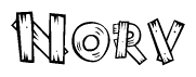 The image contains the name Norv written in a decorative, stylized font with a hand-drawn appearance. The lines are made up of what appears to be planks of wood, which are nailed together