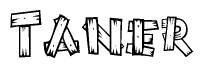 The clipart image shows the name Taner stylized to look like it is constructed out of separate wooden planks or boards, with each letter having wood grain and plank-like details.