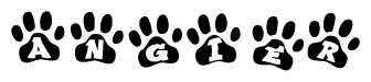 Animal Paw Prints with Angier Lettering