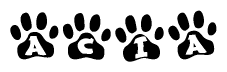 The image shows a series of animal paw prints arranged in a horizontal line. Each paw print contains a letter, and together they spell out the word Acia.
