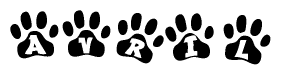 The image shows a series of animal paw prints arranged horizontally. Within each paw print, there's a letter; together they spell Avril