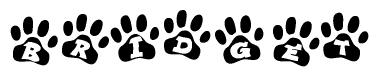 The image shows a series of animal paw prints arranged horizontally. Within each paw print, there's a letter; together they spell Bridget