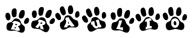 The image shows a series of animal paw prints arranged in a horizontal line. Each paw print contains a letter, and together they spell out the word Braulio.