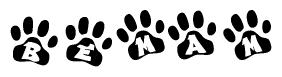 The image shows a series of animal paw prints arranged in a horizontal line. Each paw print contains a letter, and together they spell out the word Bemam.
