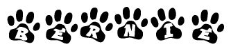 The image shows a series of animal paw prints arranged horizontally. Within each paw print, there's a letter; together they spell Bernie