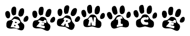 The image shows a series of animal paw prints arranged horizontally. Within each paw print, there's a letter; together they spell Bernice