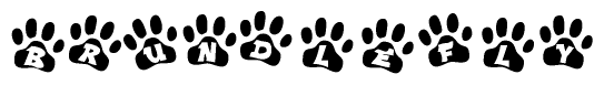 The image shows a series of animal paw prints arranged horizontally. Within each paw print, there's a letter; together they spell Brundlefly