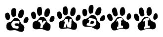 The image shows a series of animal paw prints arranged in a horizontal line. Each paw print contains a letter, and together they spell out the word Cyndii.