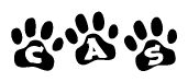 The image shows a series of animal paw prints arranged in a horizontal line. Each paw print contains a letter, and together they spell out the word Cas.