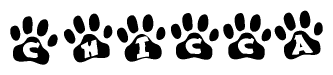 The image shows a series of animal paw prints arranged horizontally. Within each paw print, there's a letter; together they spell Chicca