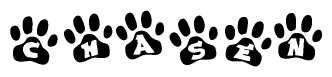 The image shows a series of animal paw prints arranged in a horizontal line. Each paw print contains a letter, and together they spell out the word Chasen.