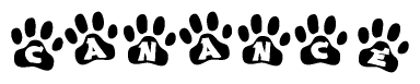 The image shows a row of animal paw prints, each containing a letter. The letters spell out the word Canance within the paw prints.