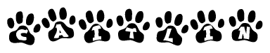 The image shows a series of animal paw prints arranged in a horizontal line. Each paw print contains a letter, and together they spell out the word Caitlin.