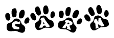 The image shows a row of animal paw prints, each containing a letter. The letters spell out the word Carm within the paw prints.