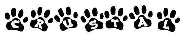 The image shows a series of animal paw prints arranged horizontally. Within each paw print, there's a letter; together they spell Crustal