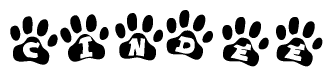 The image shows a series of animal paw prints arranged in a horizontal line. Each paw print contains a letter, and together they spell out the word Cindee.