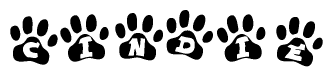 The image shows a series of animal paw prints arranged horizontally. Within each paw print, there's a letter; together they spell Cindie
