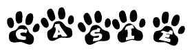 The image shows a series of animal paw prints arranged horizontally. Within each paw print, there's a letter; together they spell Casie