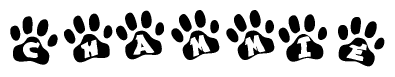 The image shows a row of animal paw prints, each containing a letter. The letters spell out the word Chammie within the paw prints.