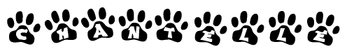 The image shows a series of animal paw prints arranged horizontally. Within each paw print, there's a letter; together they spell Chantelle