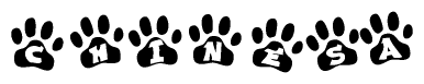 The image shows a series of animal paw prints arranged in a horizontal line. Each paw print contains a letter, and together they spell out the word Chinesa.