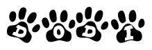 The image shows a series of animal paw prints arranged in a horizontal line. Each paw print contains a letter, and together they spell out the word Dodi.