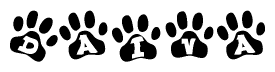 The image shows a series of animal paw prints arranged in a horizontal line. Each paw print contains a letter, and together they spell out the word Daiva.