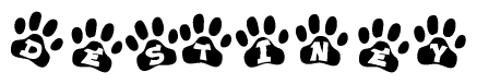 The image shows a series of animal paw prints arranged in a horizontal line. Each paw print contains a letter, and together they spell out the word Destiney.